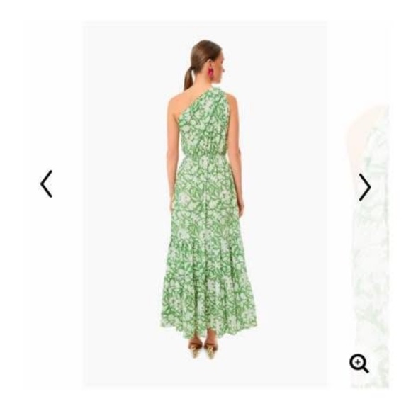 Tuckernuck Exclusive Charina Sarte Green Botanica Long Dress Medium EUC - Picture 4 of 6
